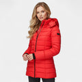 Women’s Mid Length Puffer Coat – Hooded Design, Zip Front, Quilted Finish